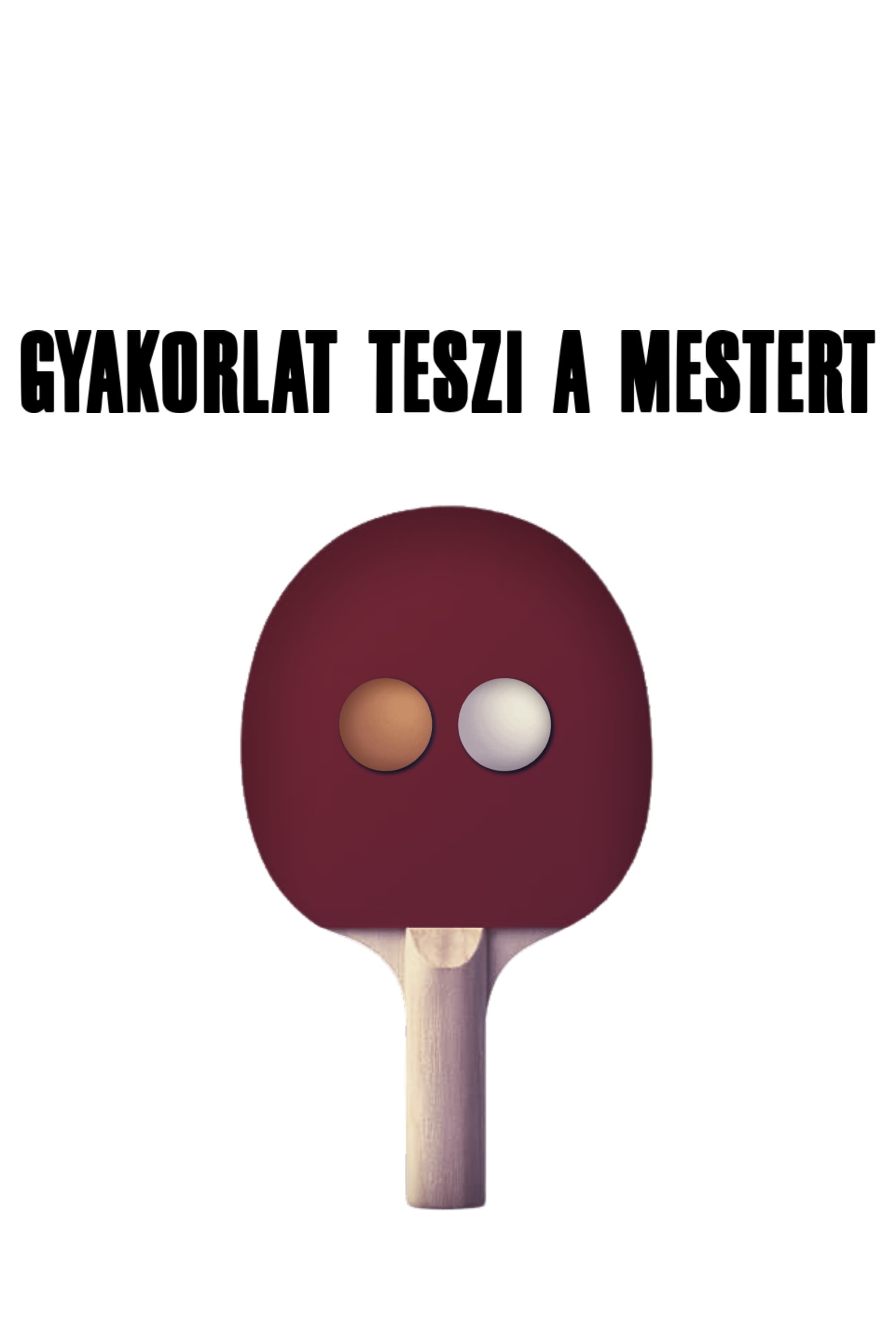 Image for Gyakorlat teszi a mestert