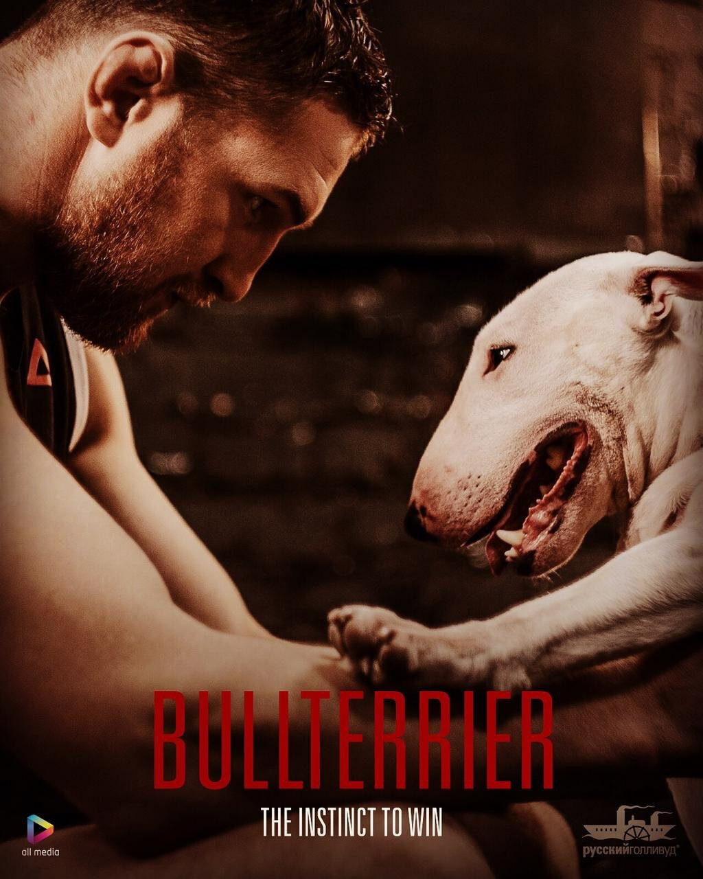 Image for Bullterrier